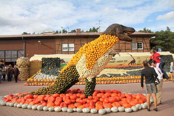 實(shí)拍德國南瓜大賽：503公斤“南瓜王”奪冠