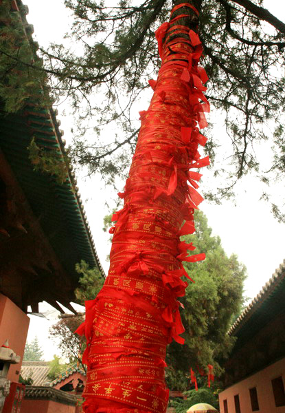 “愛(ài)情圣地”普救寺