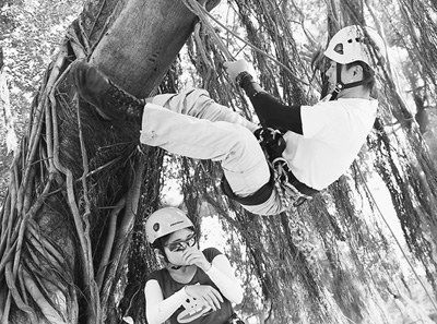 爬樹課、生死課、三國殺 高校新奇課迭出引爭議