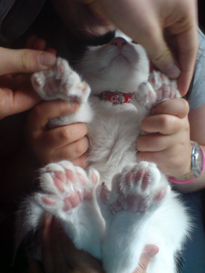 挑戰人類極限 盤點世界各地奇聞怪事