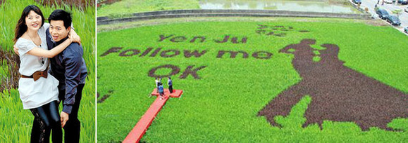 組圖：全球最令人瞠目的求婚創意