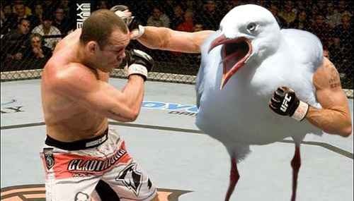 假如這些惡搞變成現(xiàn)實(shí)