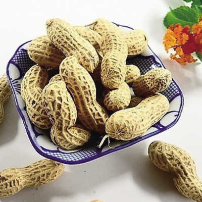 食療養生:盤點營養專家最愛吃的零食