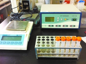 家電到底有多臟？實驗證明洗衣機外筒最臟