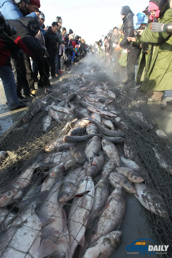 直擊吉林查干湖冬季捕魚