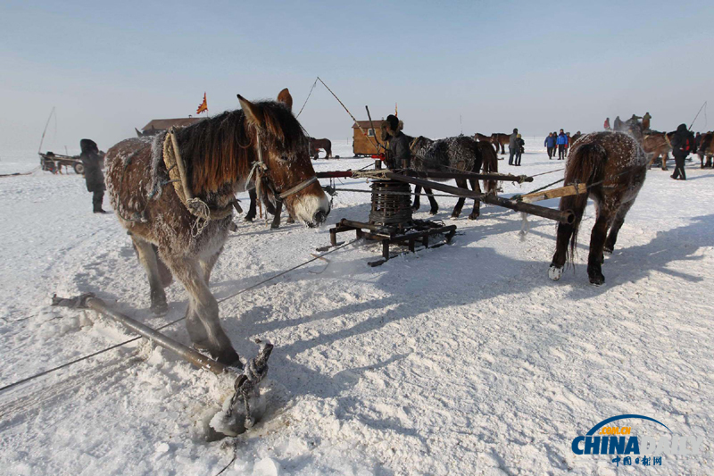 直擊吉林查干湖冬季捕魚