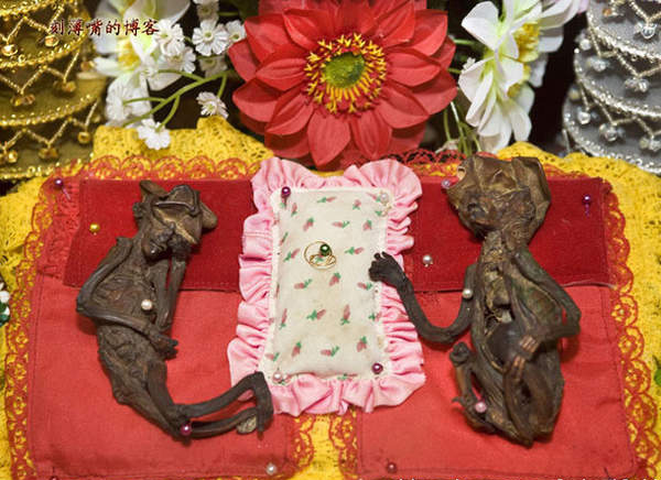 臺灣外星人疑造假 圖揭歷年神秘生物騙局