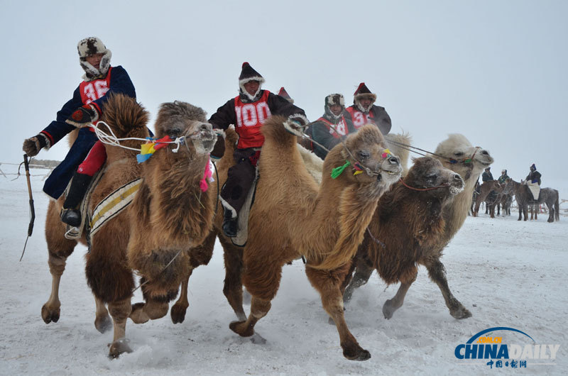 《中國日報》一周圖片精選:12月22日-12月28日