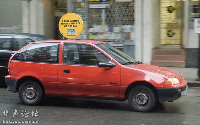 蚊子最喜歡藍色 這25個科學冷知識你了解多少？