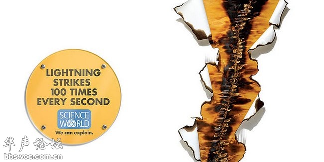 蚊子最喜歡藍(lán)色 這25個(gè)科學(xué)冷知識你了解多少？