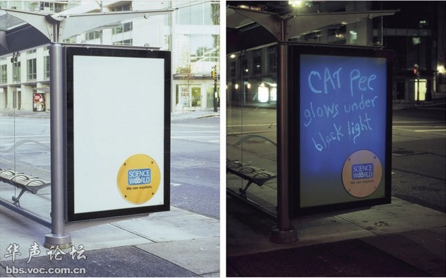 蚊子最喜歡藍色 這25個科學冷知識你了解多少？