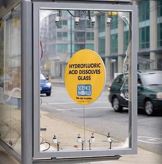 蚊子最喜歡藍色 這25個科學冷知識你了解多少？