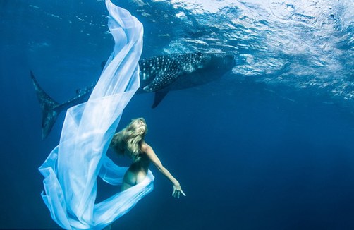 海底視覺(jué)盛宴：超模與鯊魚(yú)驚艷共舞
