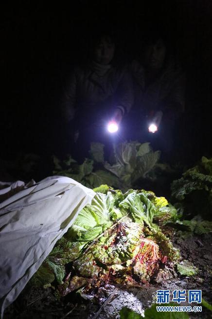 湖南新化一小學校長勇斗歹徒以身殉職