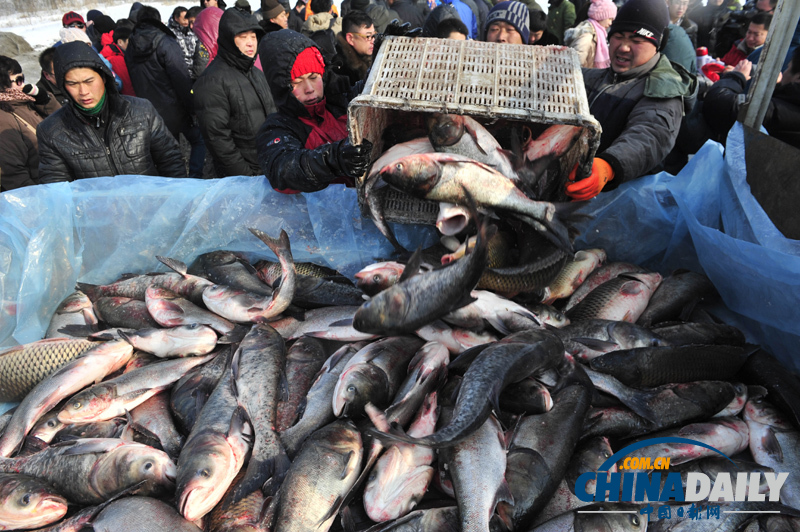 沈陽棋盤山首屆冬捕節開網捕魚