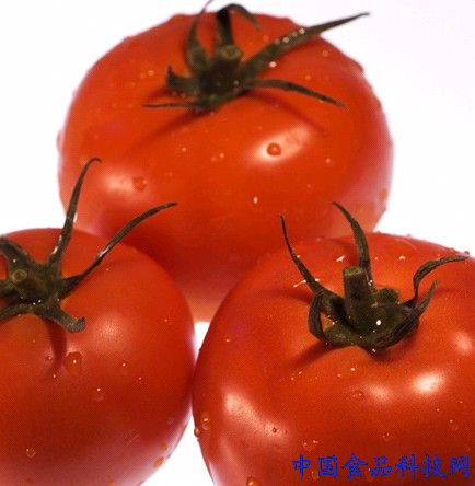 西紅柿炒雞蛋9大神奇功效