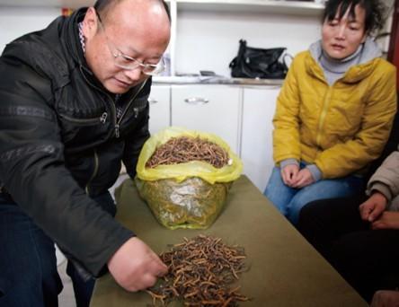 從質(zhì)疑到感動(dòng)：打假斗士的極草之旅