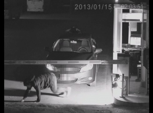 網曝美女車主為逃停車故意扮鬼 嚇傻收費員(圖)