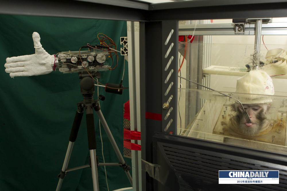 中國日報2012年度國際傳播圖片精選