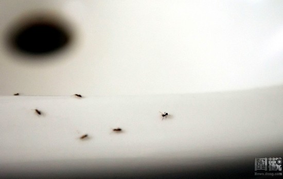 探秘國外令人觸目驚心的廉價整容