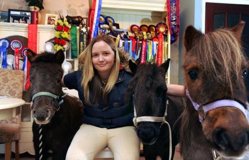 小馬被寵壞 與主人同住室內、愛看電視(組圖)