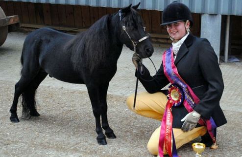 小馬被寵壞 與主人同住室內、愛看電視(組圖)