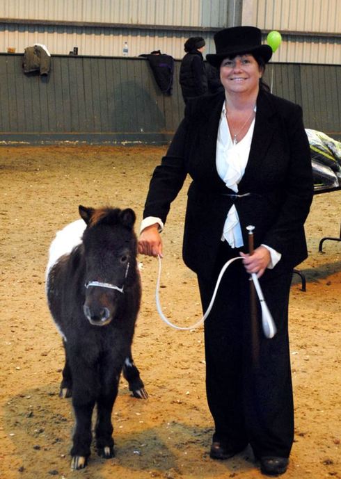 小馬被寵壞 與主人同住室內、愛看電視(組圖)