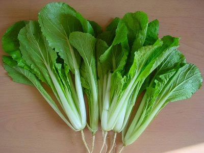 養(yǎng)生：大蒜抗癌蘋果改善心血管 8大長壽食物（圖）