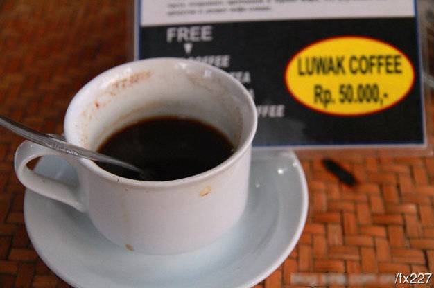 盤點動物糞便的奇妙用途