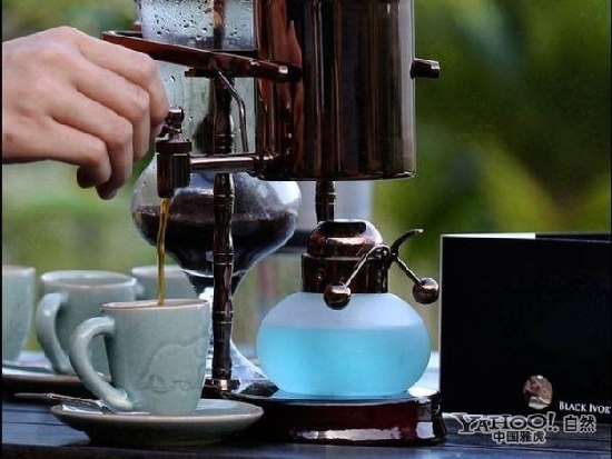 盤點動物糞便的奇妙用途