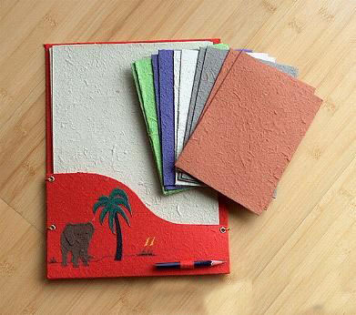 盤點(diǎn)動(dòng)物糞便的奇妙用途