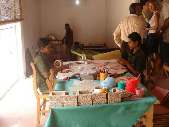 盤點(diǎn)動物糞便的奇妙用途