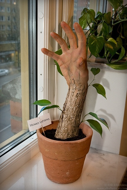 看看這幫人的PS功底到底有多強