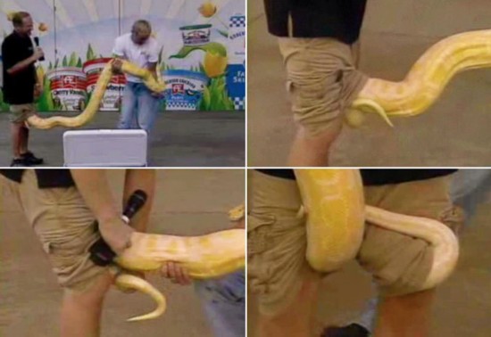 盤點直播節目的失控瞬間