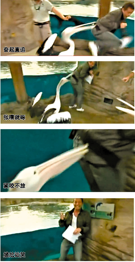 盤點直播節目的失控瞬間