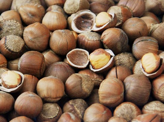 盤點食物中的“補鈣冠軍”