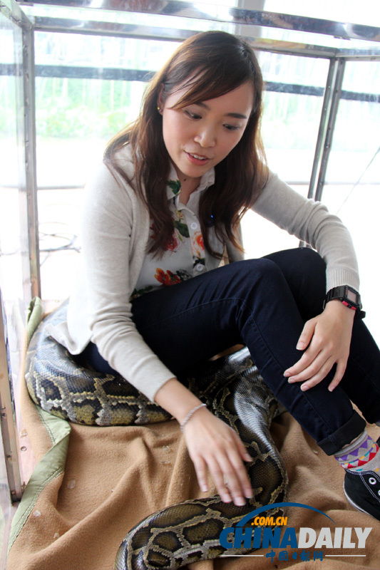 廣東佛山少年與大蟒蛇“同居” 引來眾多體驗者