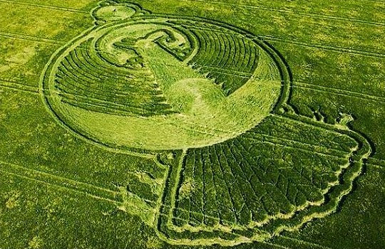 全球最奇異有趣的“靈異事件”