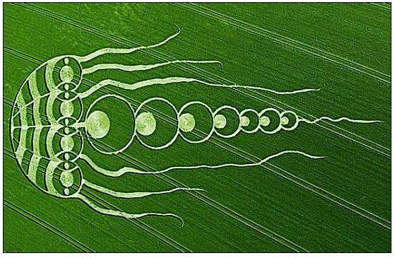 全球最奇異有趣的“靈異事件”