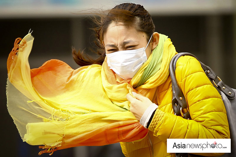 中國日報一周圖片精選:2月23日-3月1日