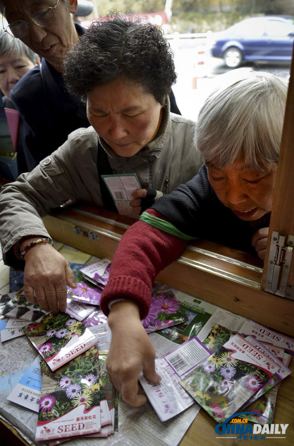 《中國日報》聚焦“3·12”植樹節圖片精選