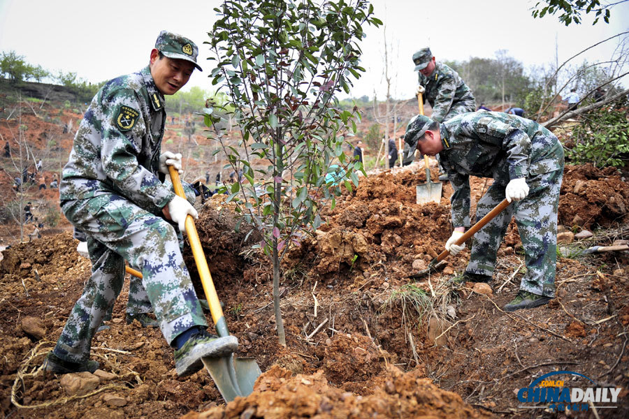 《中國日報》聚焦“3·12”植樹節圖片精選