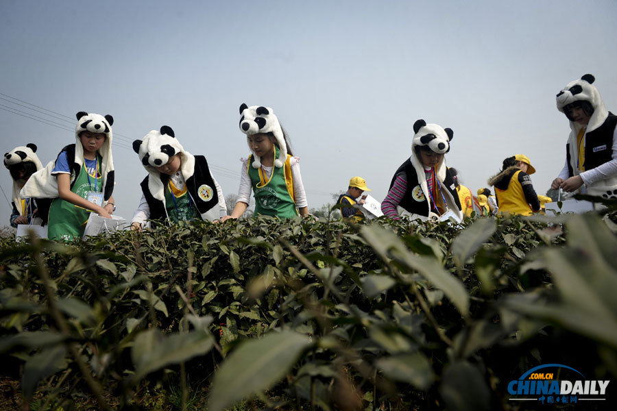 聚焦美麗中國之“春天在哪里”