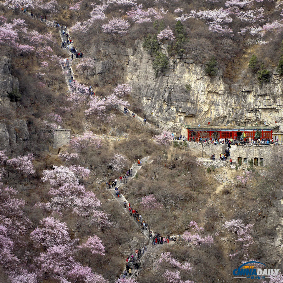 聚焦美麗中國之“春天在哪里”