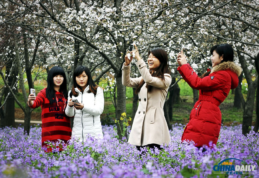 聚焦美麗中國之“春天在哪里”