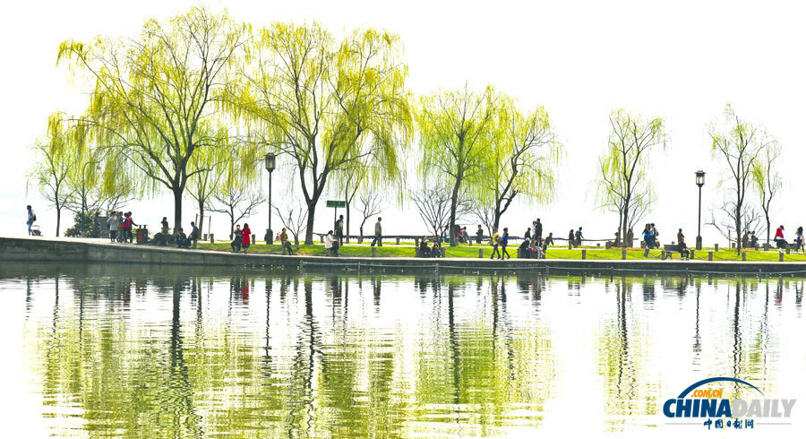 聚焦美麗中國之“春天在哪里”