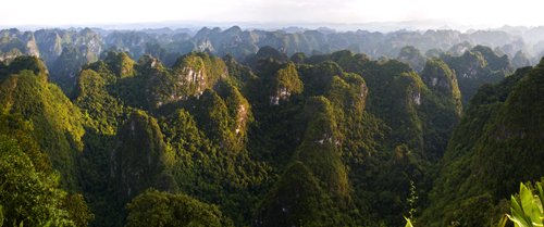 美麗的弄崗 物種的天堂