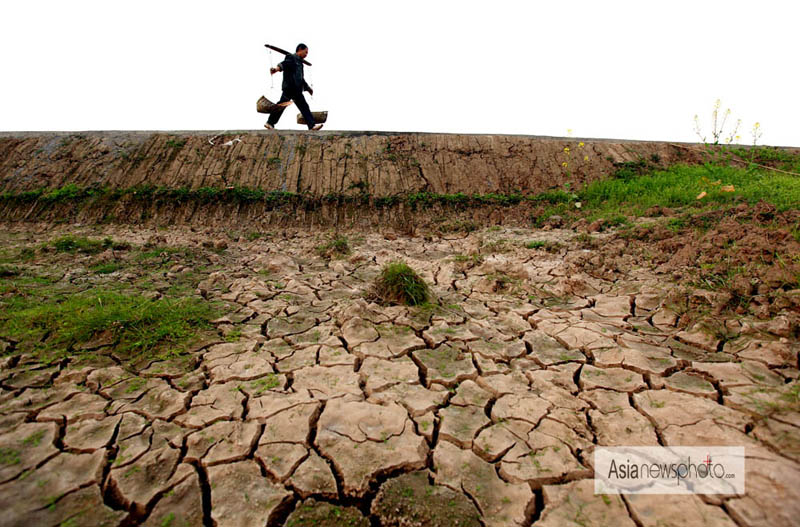 中國日報一周圖片精選：3月9日—3月15日
