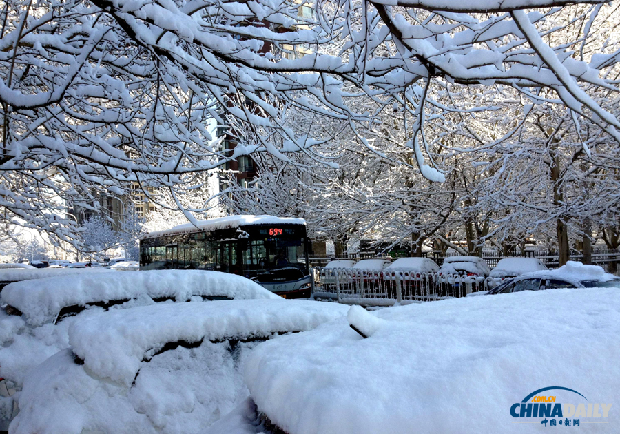 中國日報直擊北京三月春雪