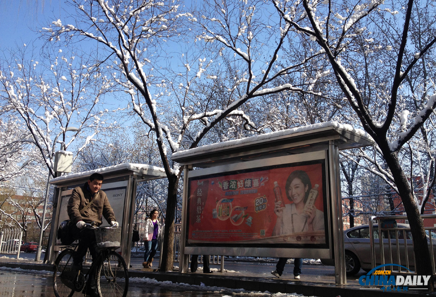 中國日報直擊北京三月春雪